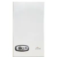 Газовый котел Ferroli Divatech D HF24
